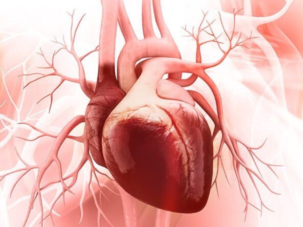 Adult CHD Adult CHD